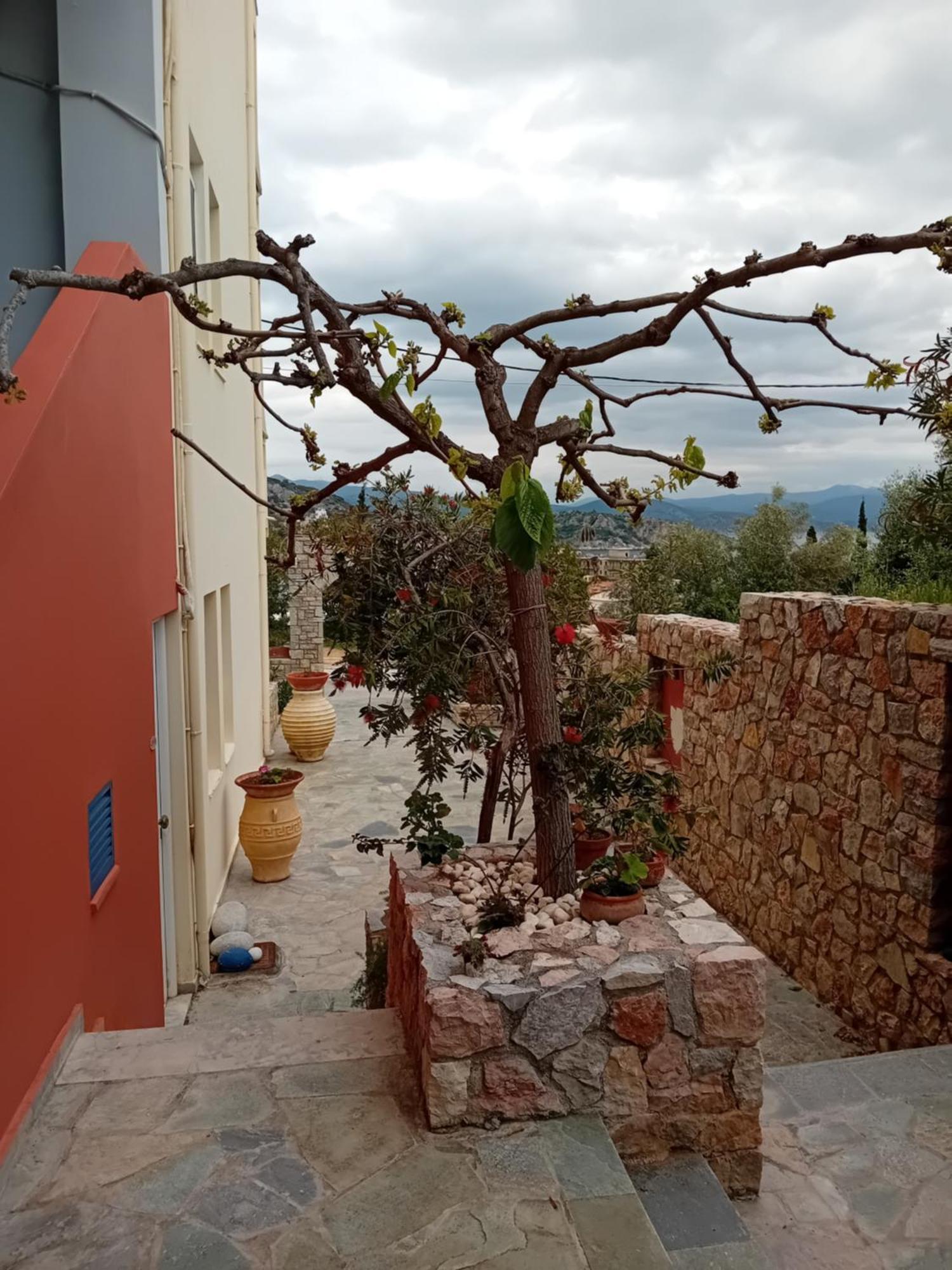 Heliotopos Apartments Tolón Buitenkant foto